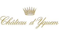 Chateau d'Yquem