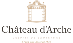 Château d'Arche