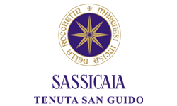 Tenuta San Guido