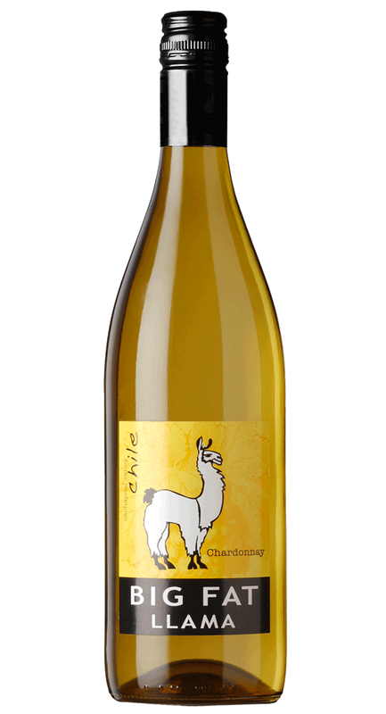 Big Fat Llama Chardonnay