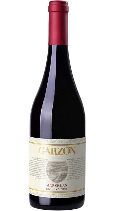 Garzón Marselan Reserva