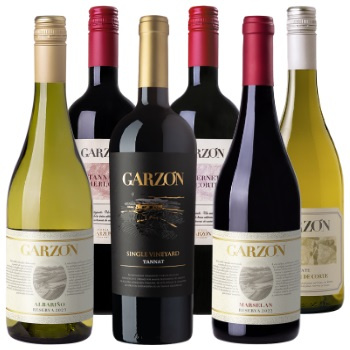 Zestaw win z Bodega Garzón