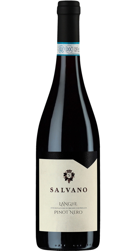 Antica Cantina da 6 bottiglie - zestaw 6 win Salvano Vini